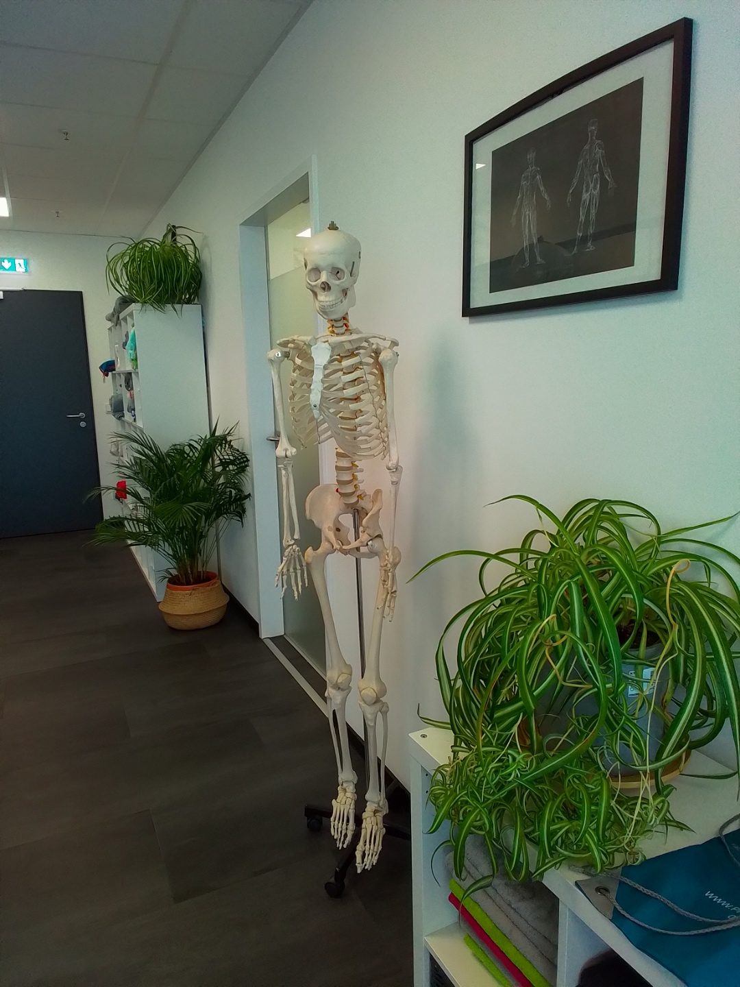 Flur PhysioZone Würzburg